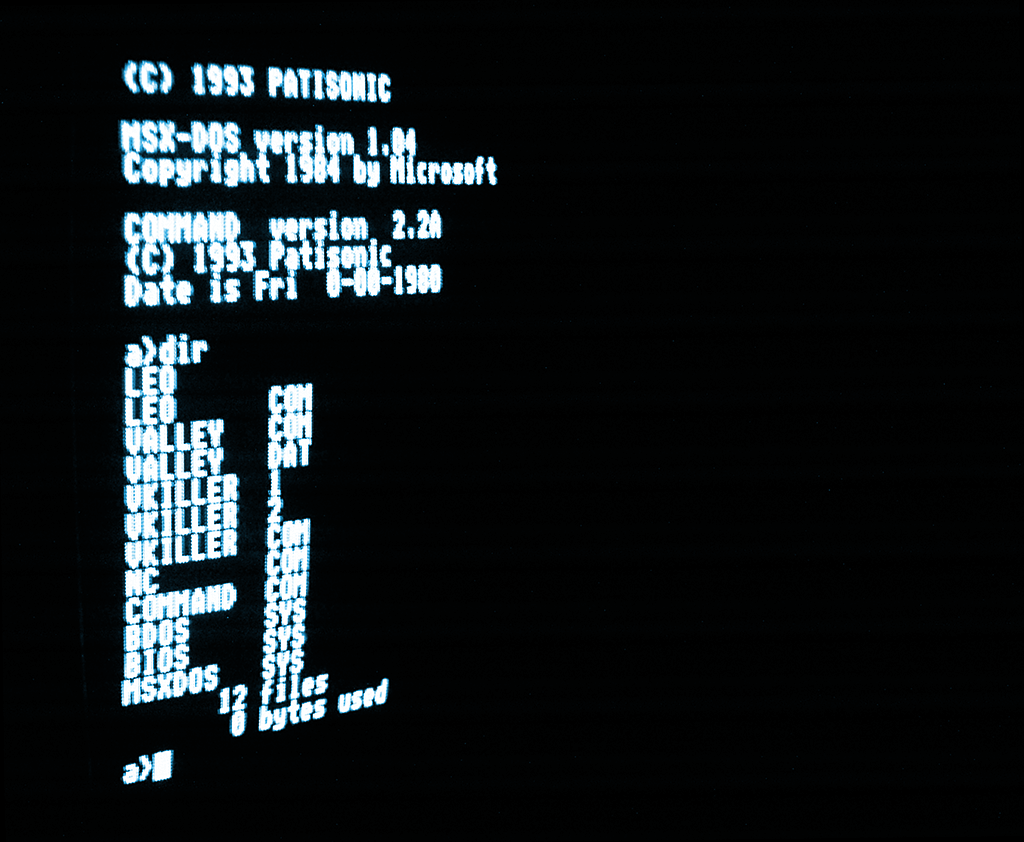 Aleste 520EX - MSX-DOS Screen